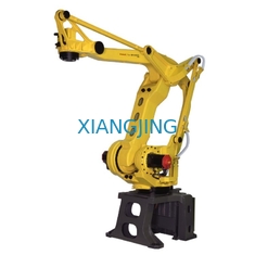 Fanuc gebruikte Industriële Robot voor Palletizer met de Palletmachine van het 4 As Robotachtige Wapen